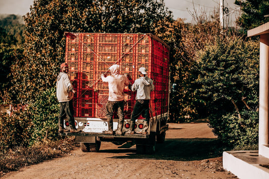 Transporting Coffee on Vehicle
