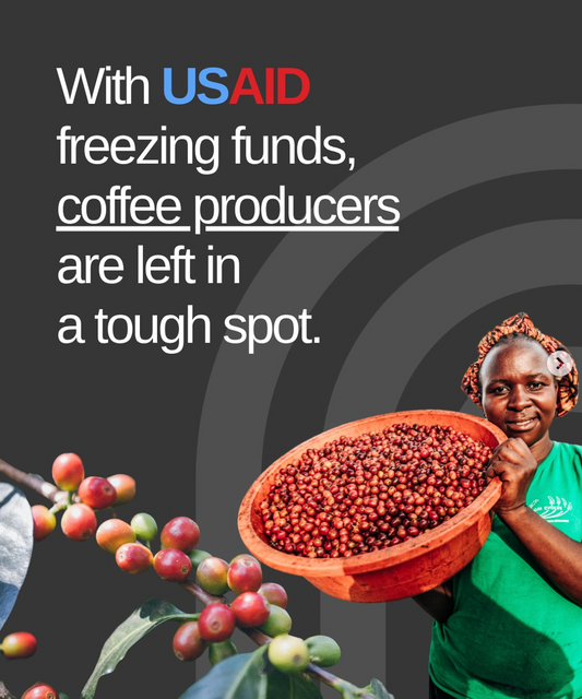 With USAID freezing funds, producers are left in a tough spot