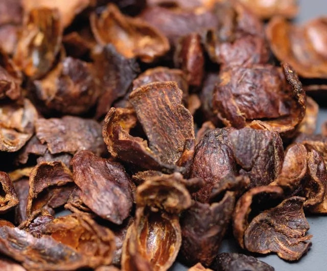 Cascara Tea: Legality, Brewing, and Market Insights for Coffee Professionals