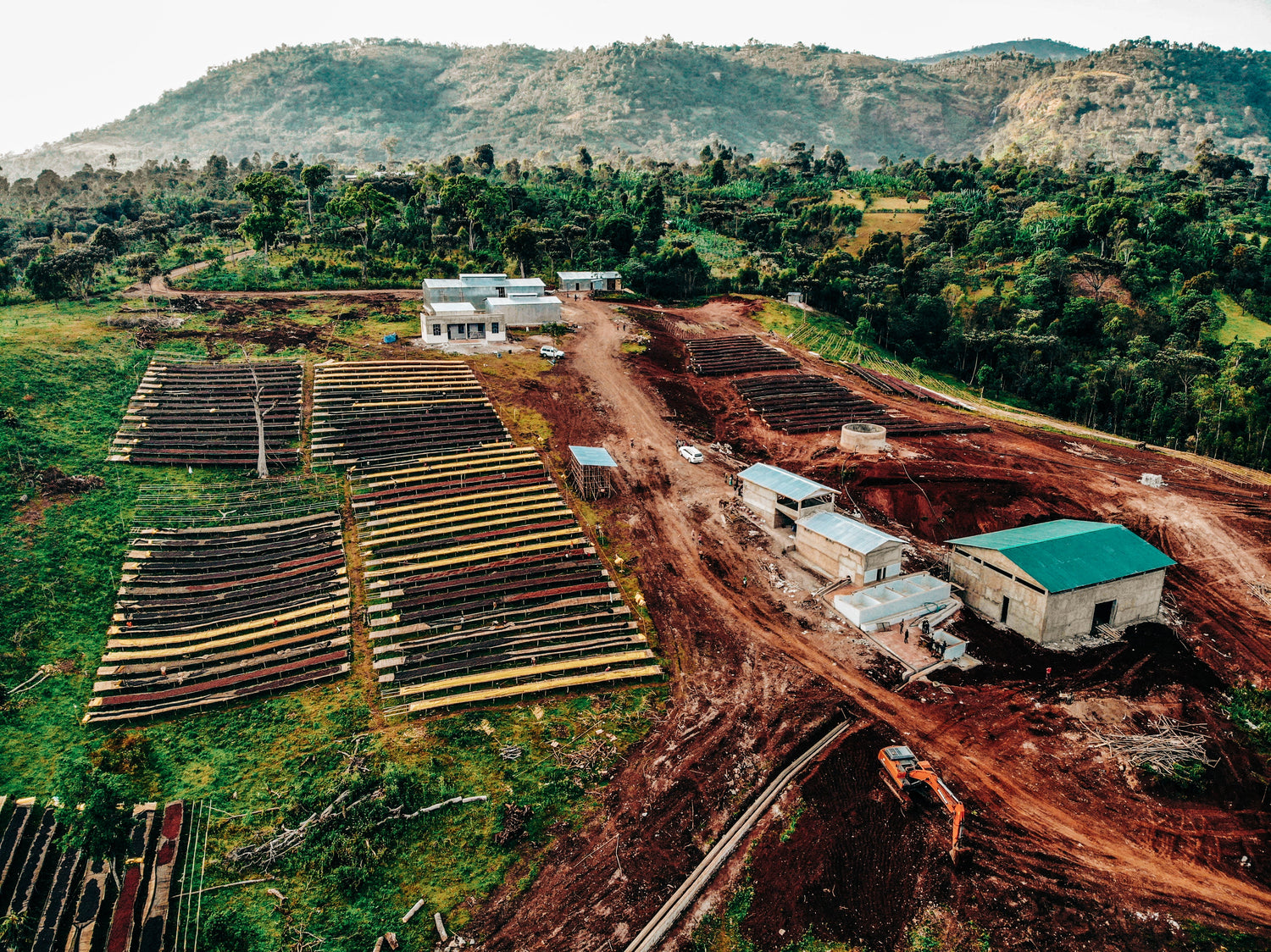 Ethiopia Green Coffee Beans