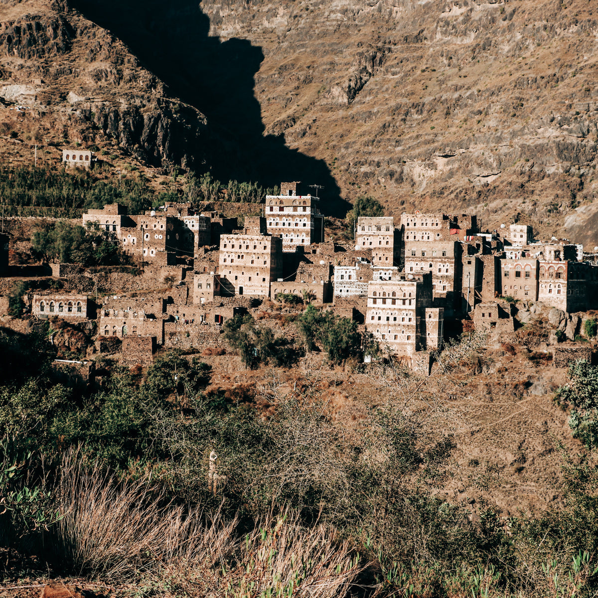 Yemen Green Coffee Beans