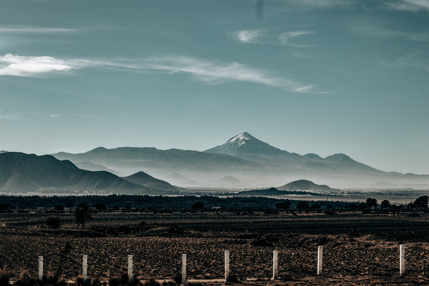 Mexico Green Coffee Beans
