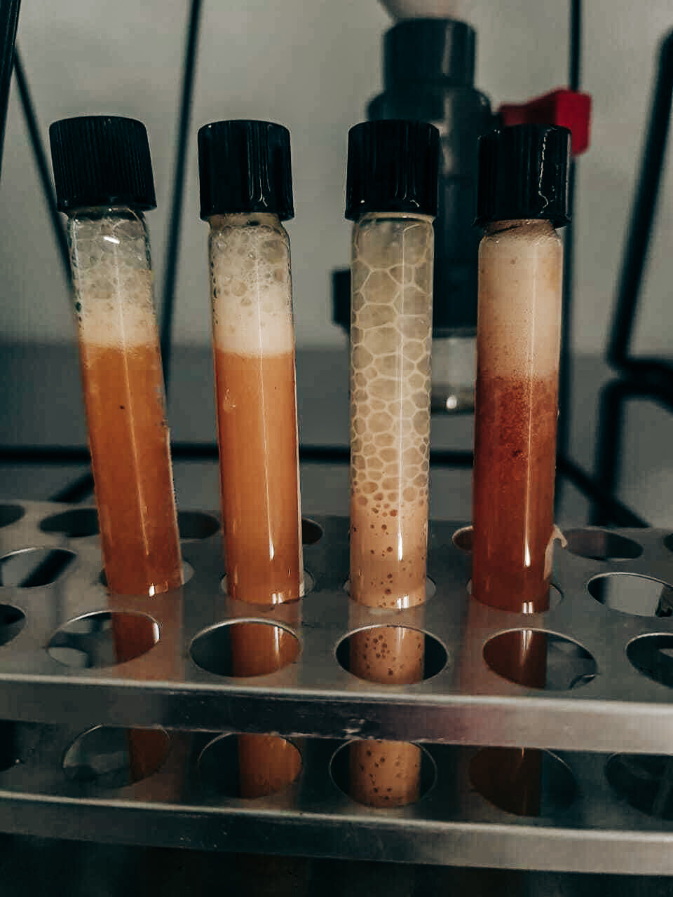Fermentation