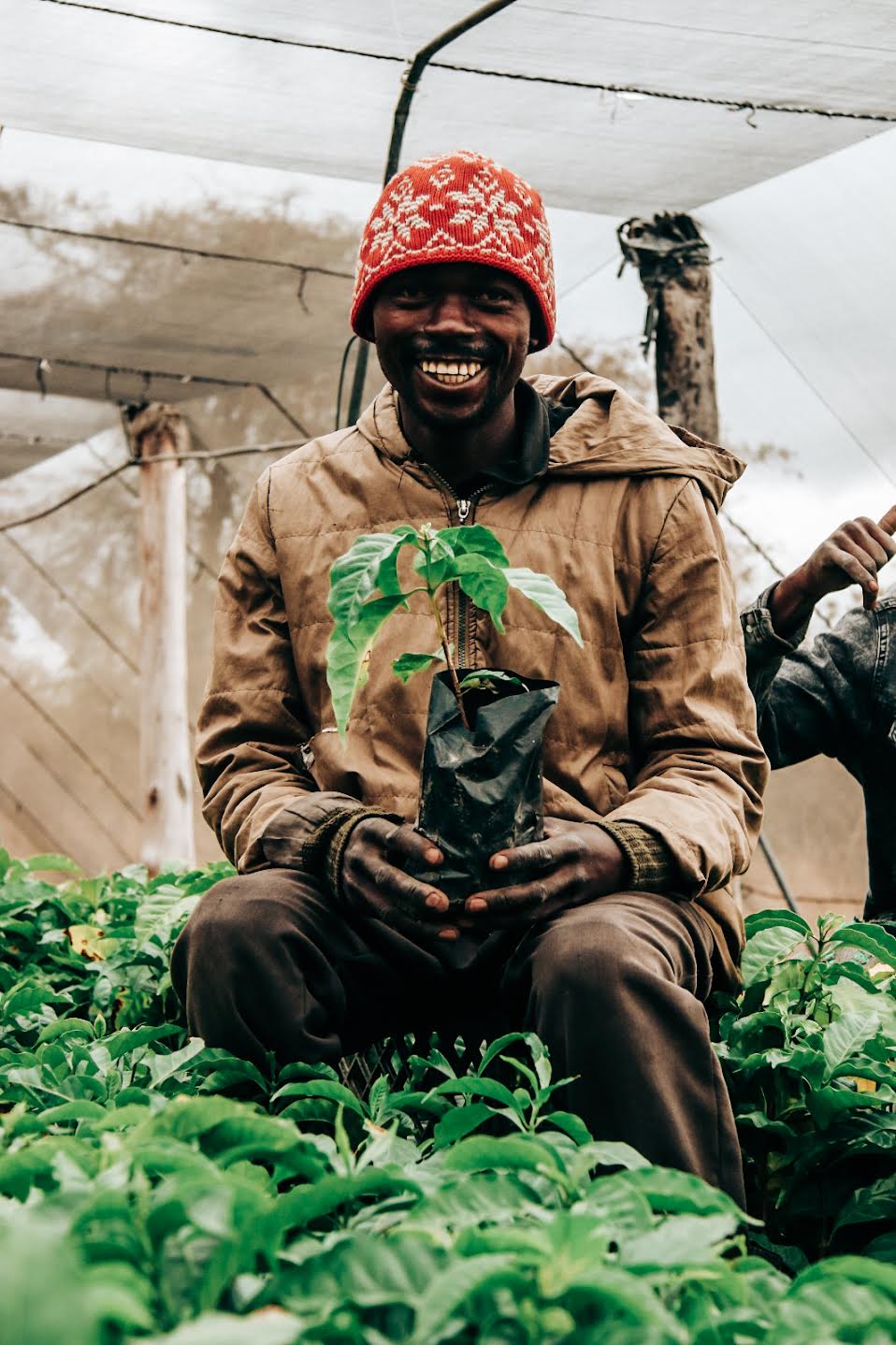 Natural Marsellesa C