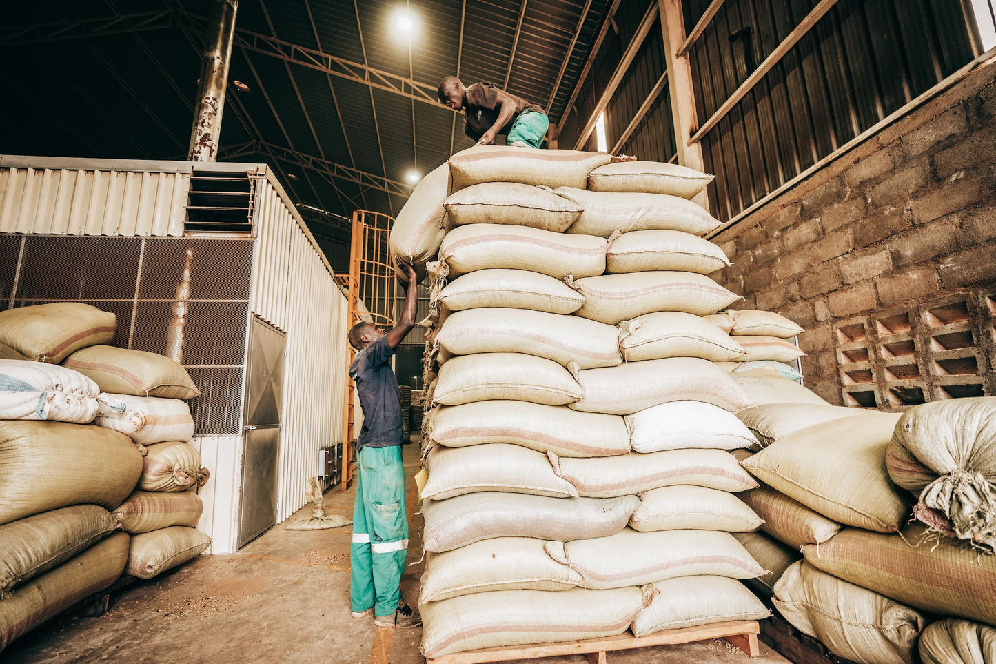 Agri Evolve Pulped Anaerobic