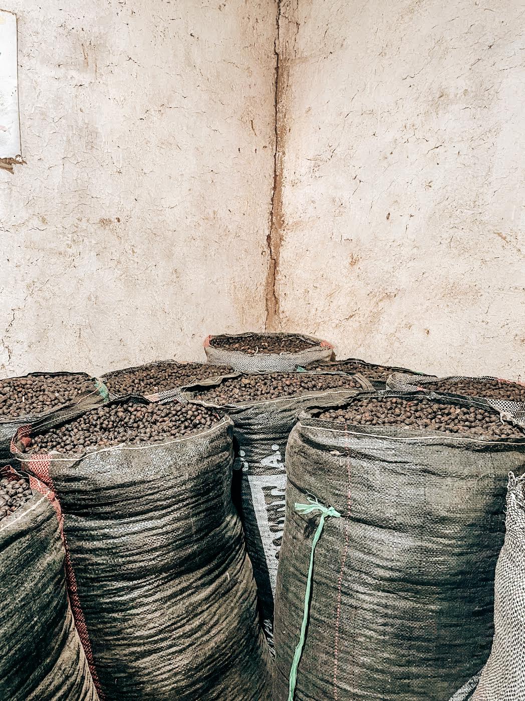 Ramos Garcia Family - Proyecto Otuzco - Yellow Honey Typica