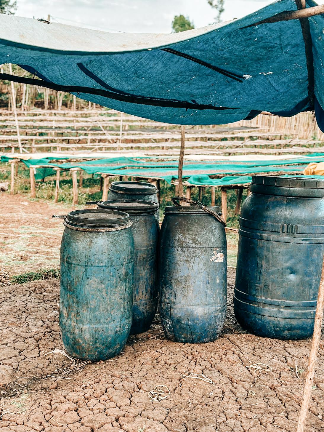 Mitiku Yabato Natural