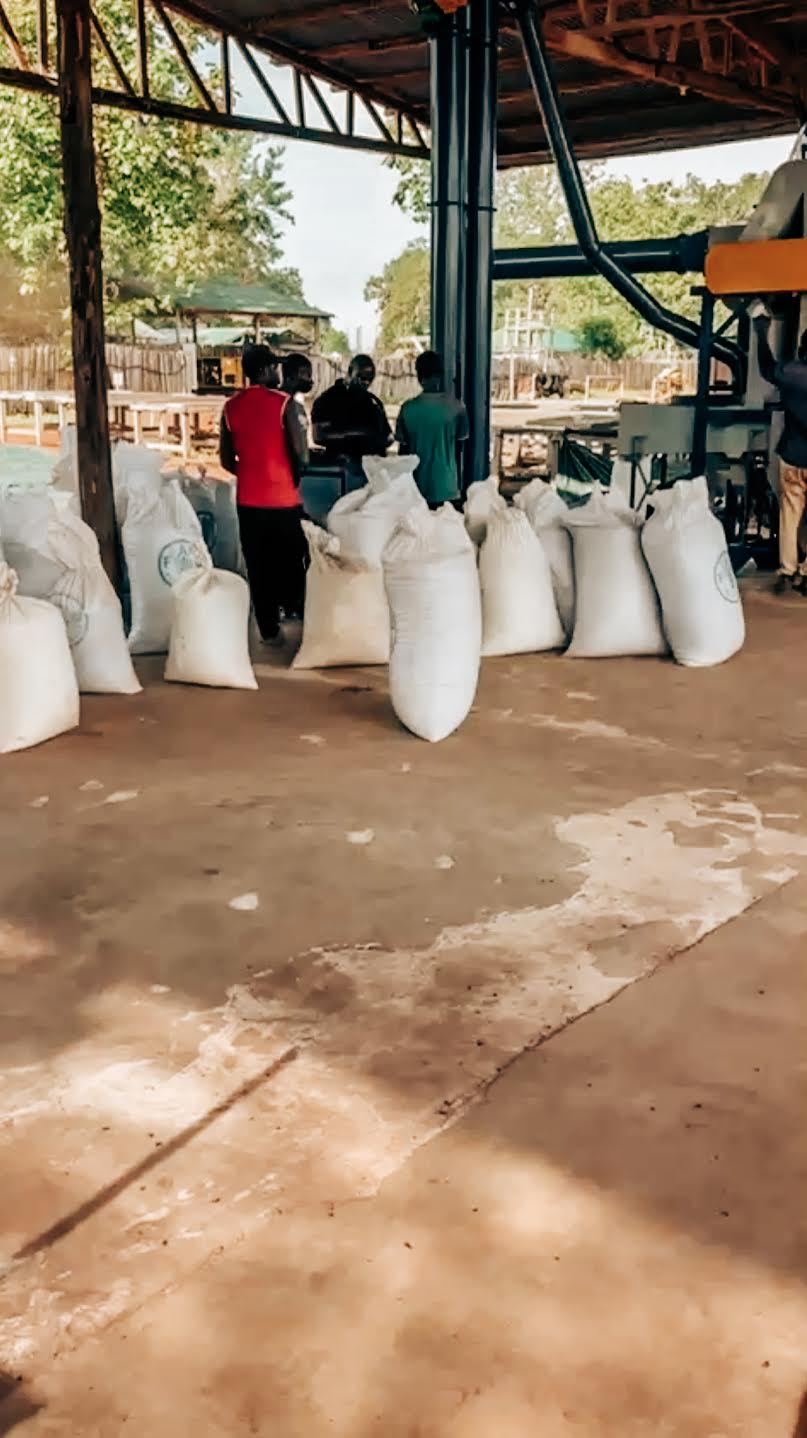 Equatoria Coffee Natural Robusta