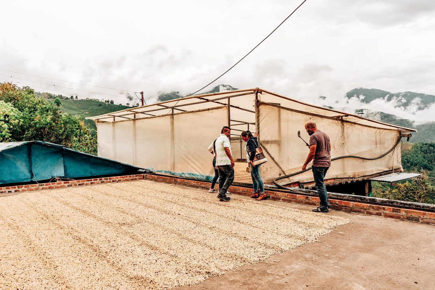 Miscela Regionale Decaffeinata Risaralda
