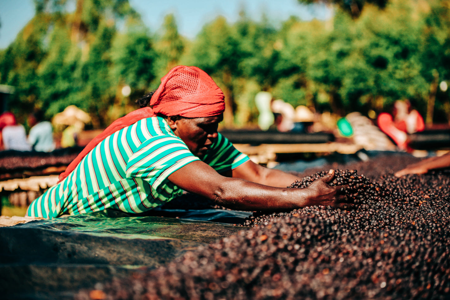 East African Natural Staple Subscription