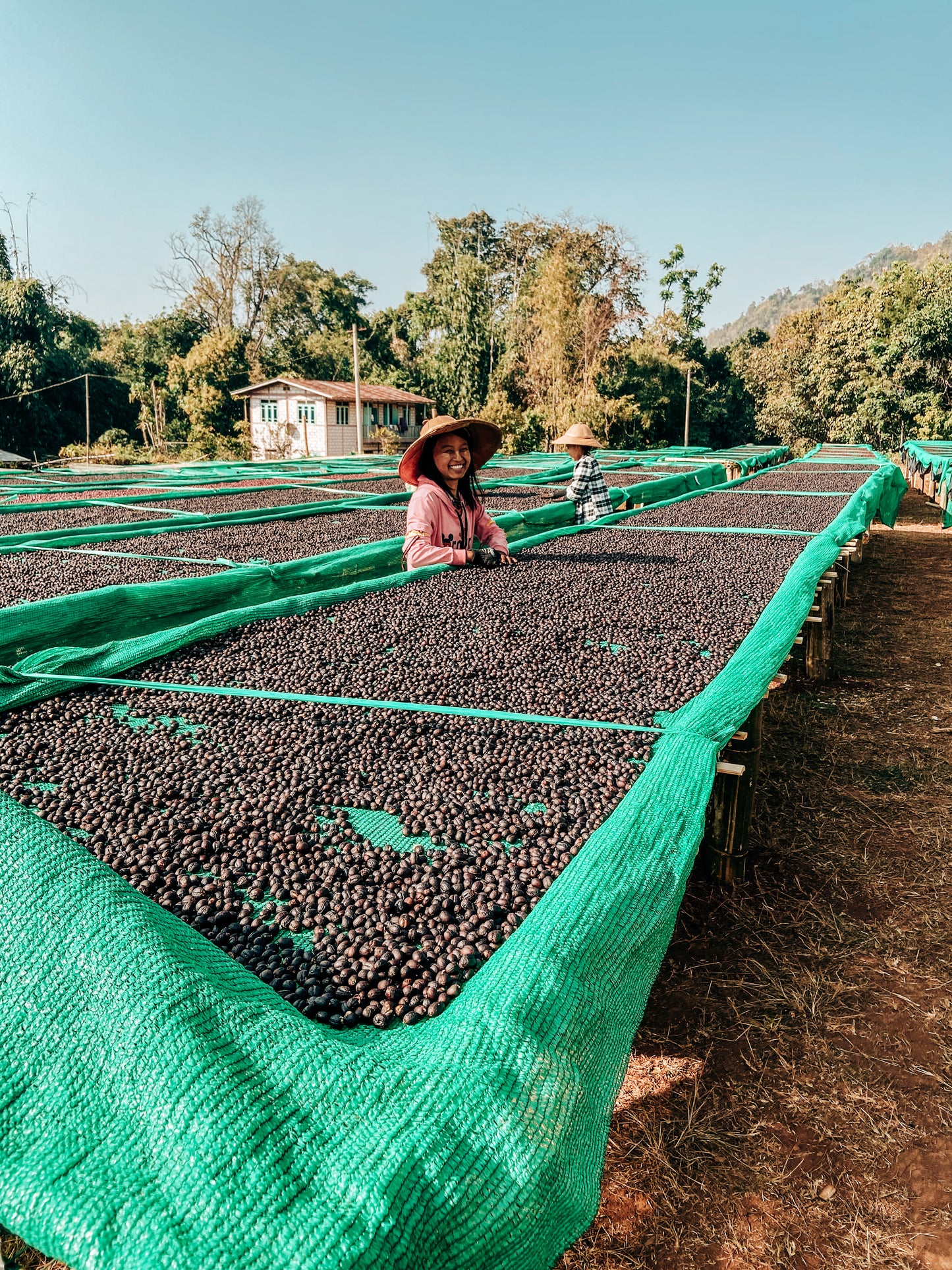 A_Lel_Chaung producer with cherries