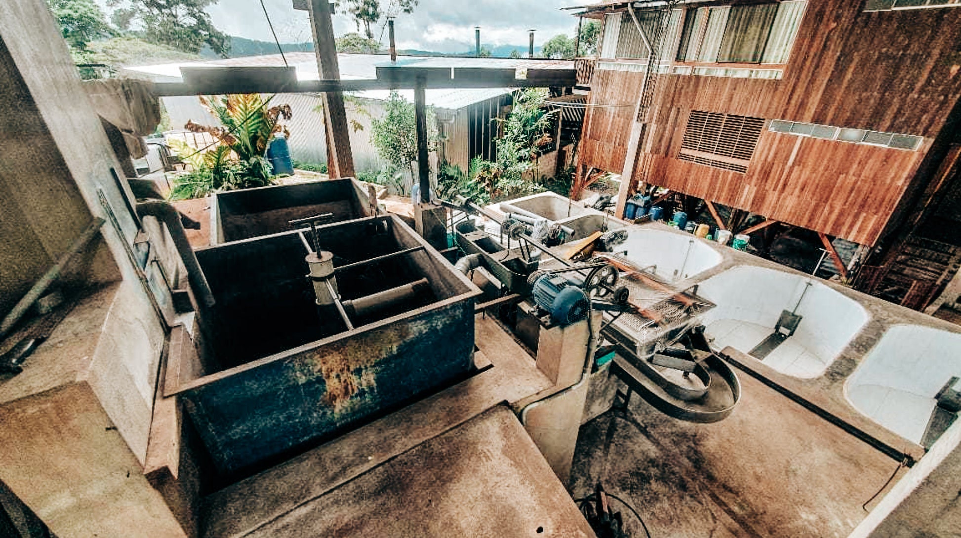 Andres Bazos coffee processing