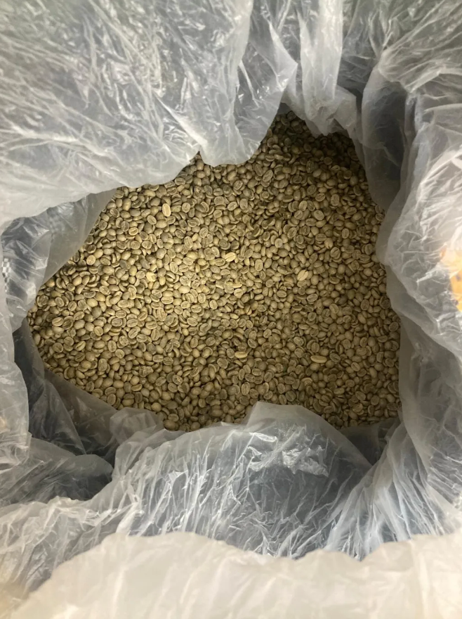 Andres Bazos green coffee