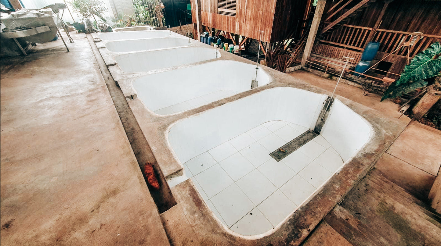 Andres Bazos washing tanks