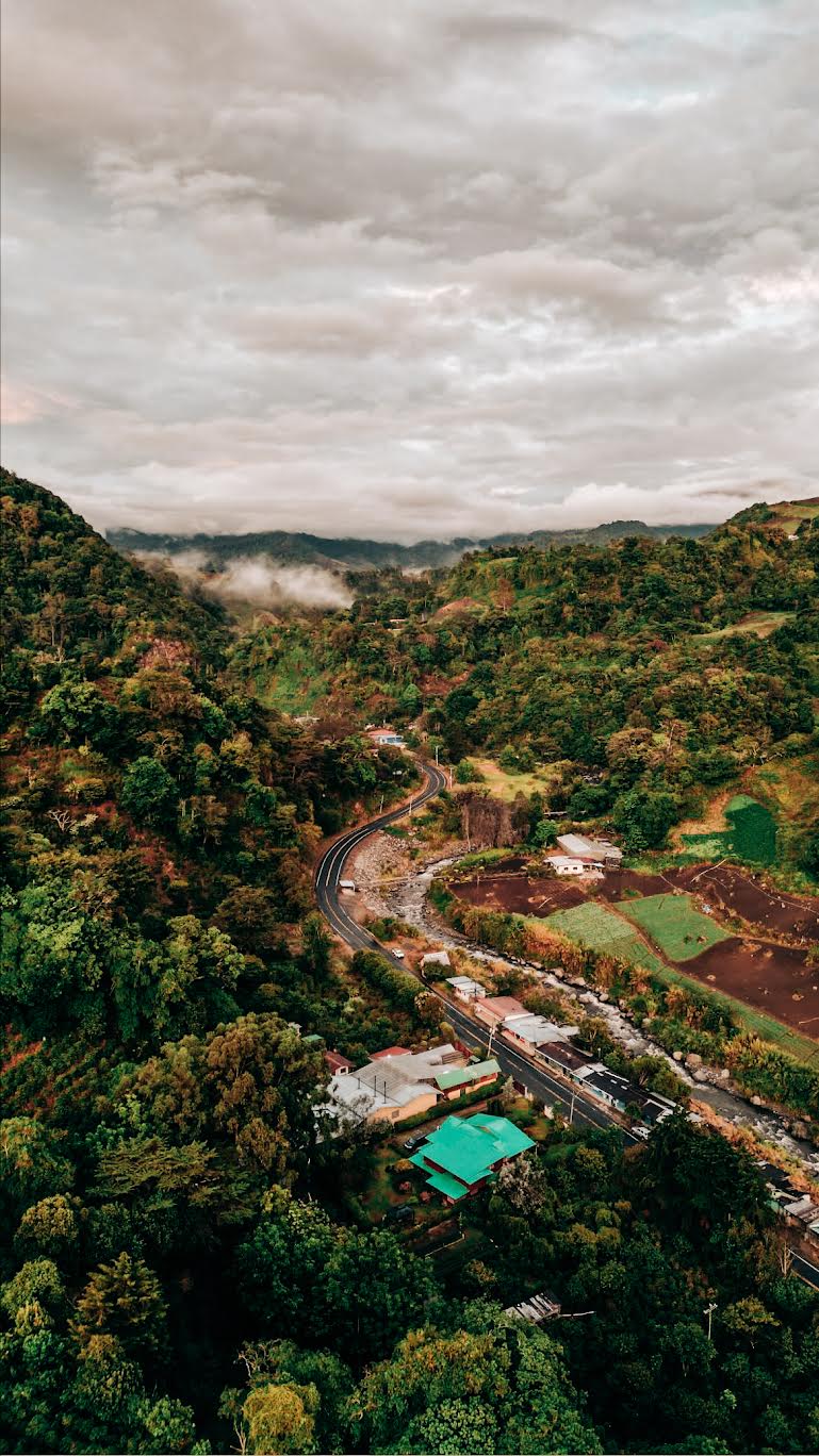 Bambito Estate Coffee Scenery