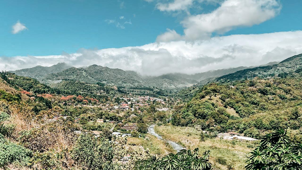 Bambito Estate Coffee Views
