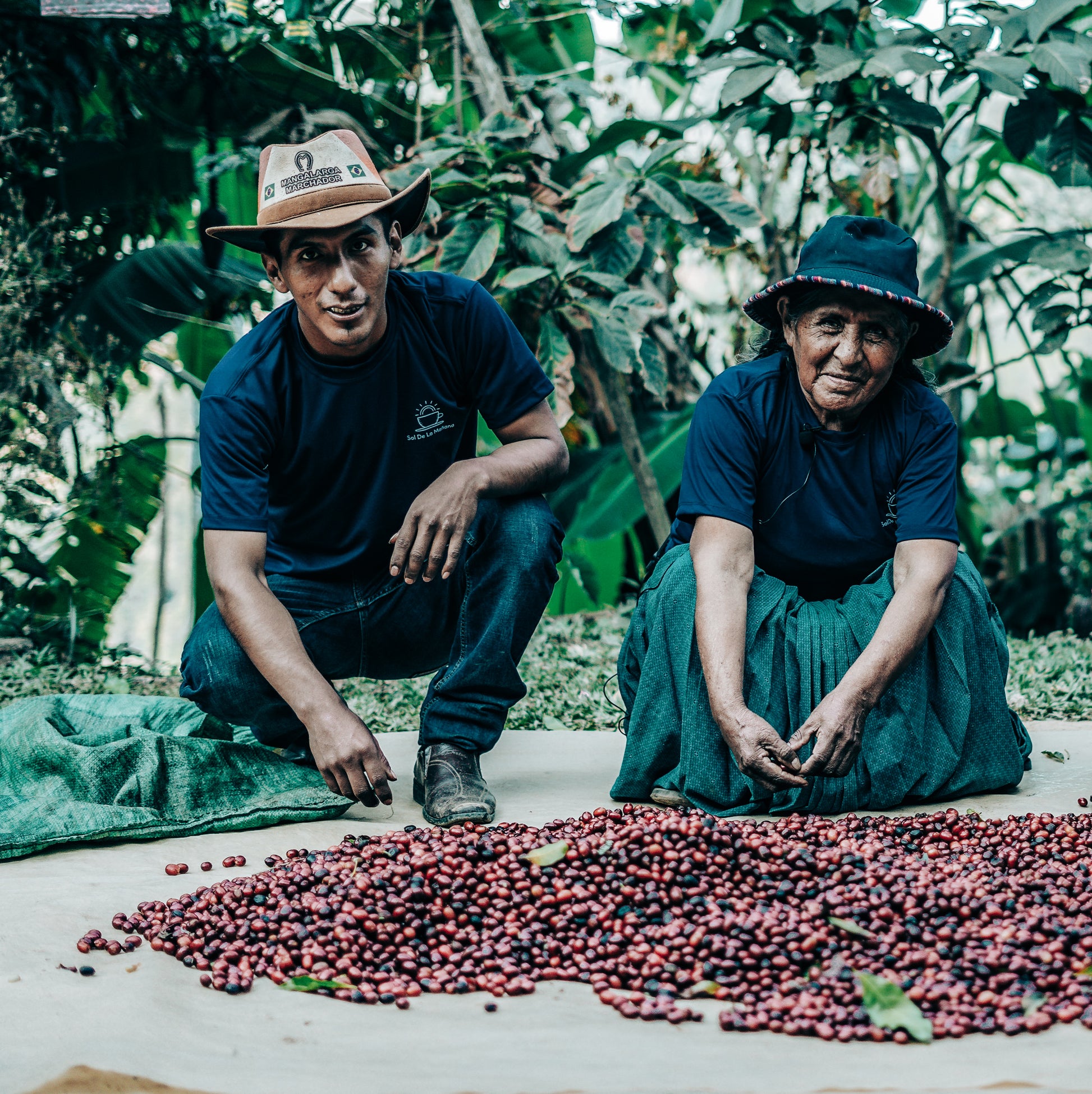 Elvis Choquehuanca sorting cherries