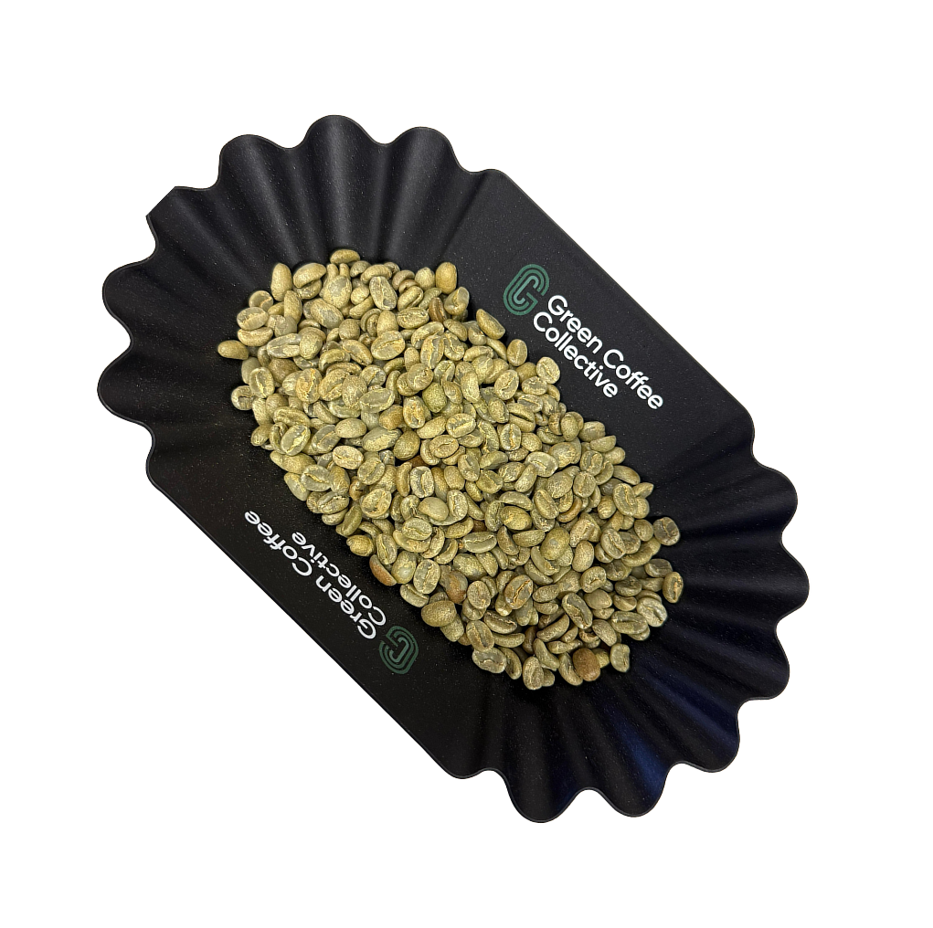 MK03 Fulvio Salinas Field Blend Washed