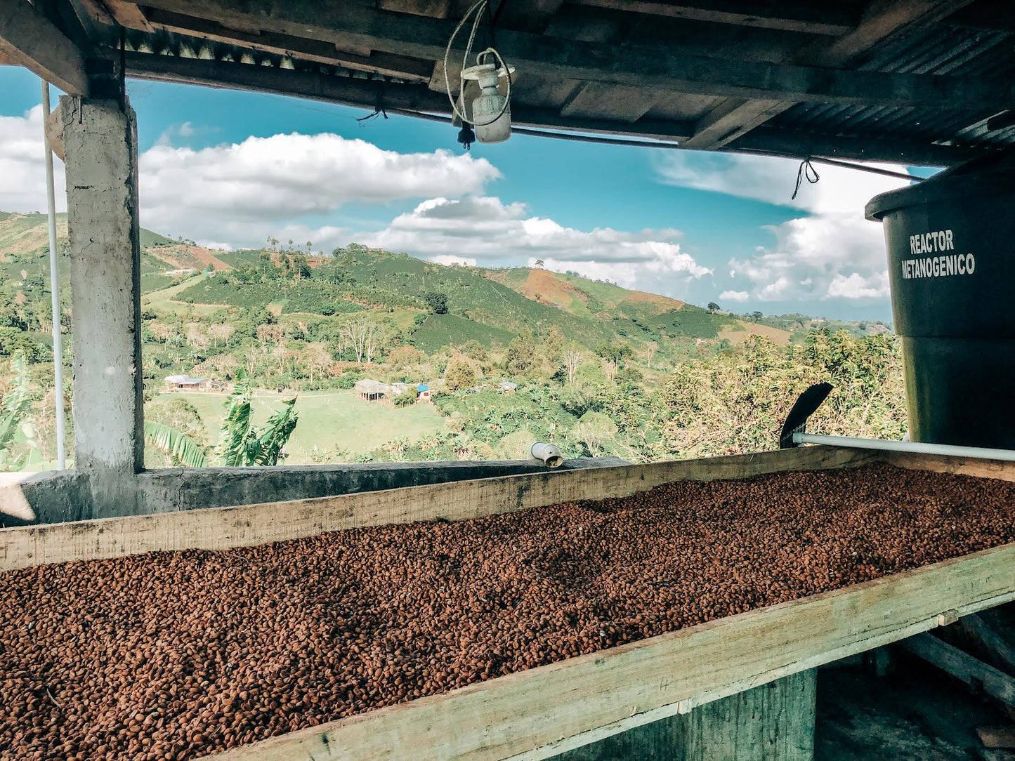 Hervey & Rocio Cuellar coffee drying and scenery