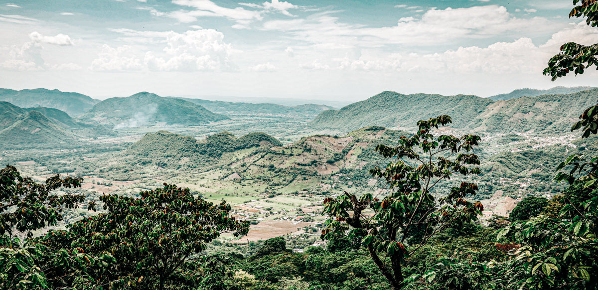 Hunbatz coffee landscape
