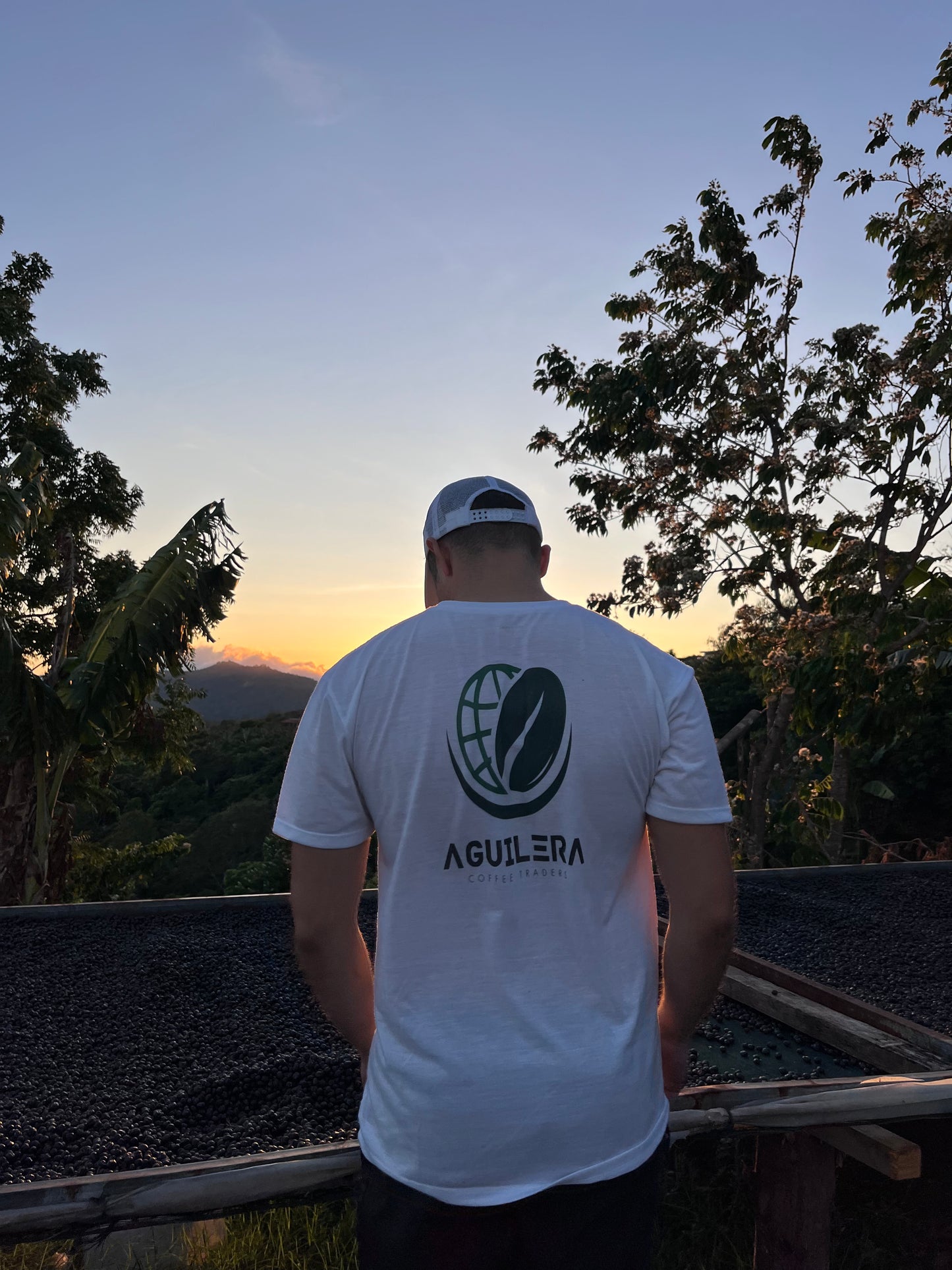 Dylan Aguilera Sarchimor Natural Reposado Finca Matilde 8