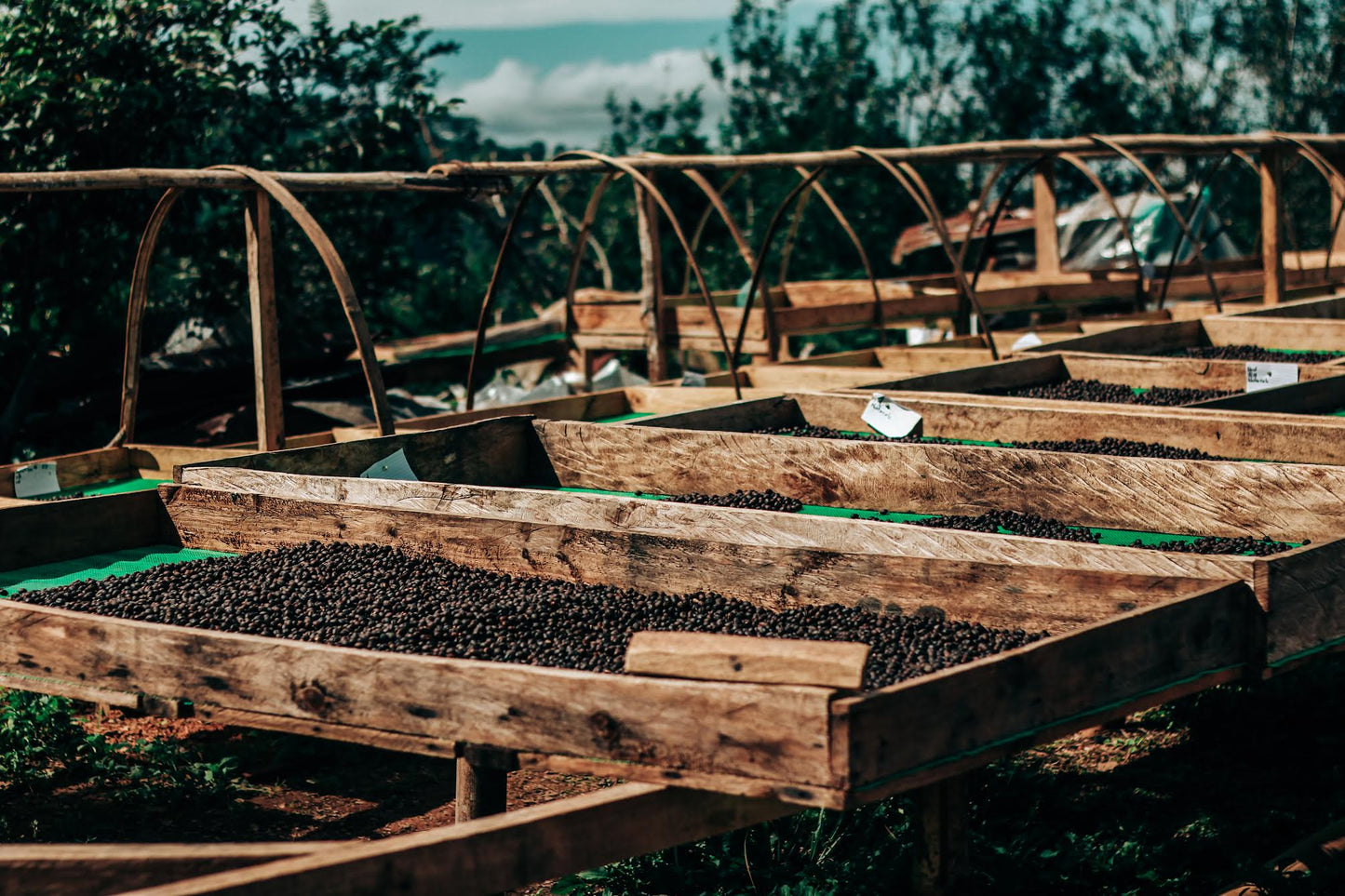 Kalsada drying beds