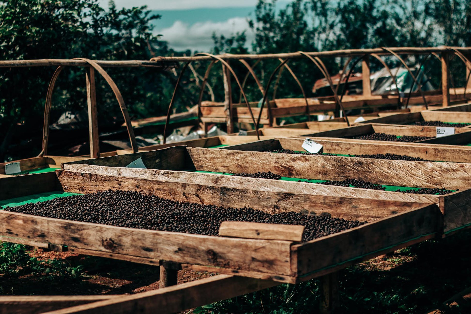 Kalsada drying beds
