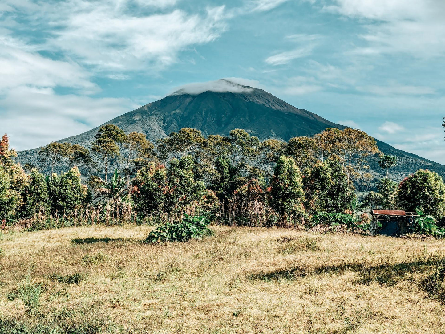 Kerinci Sumatra mountain scenery