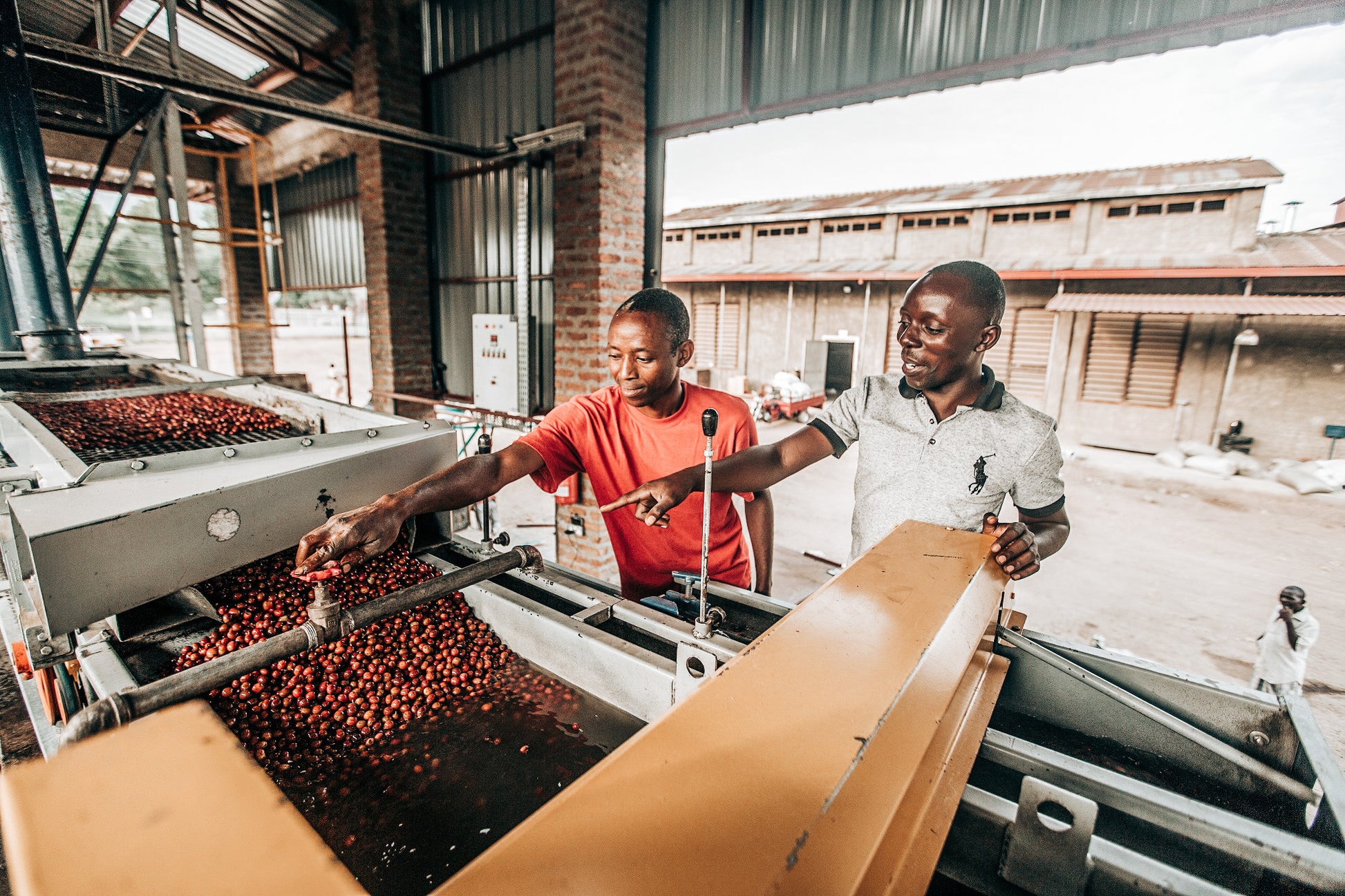 Midnight Flyer - coffee processing
