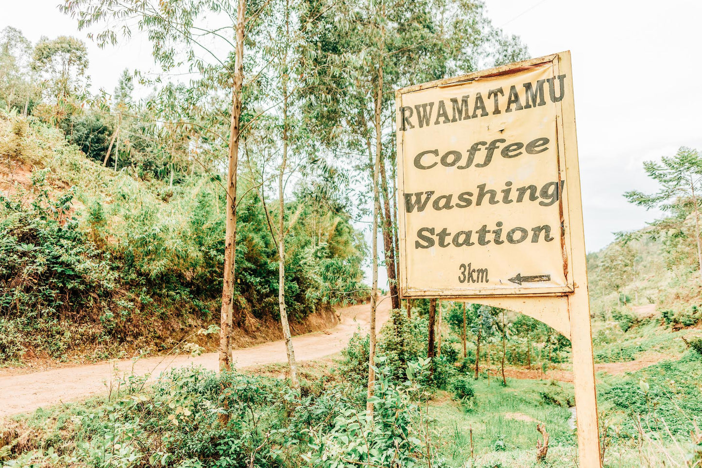 Musaza Lot 1 Processing Station Sign