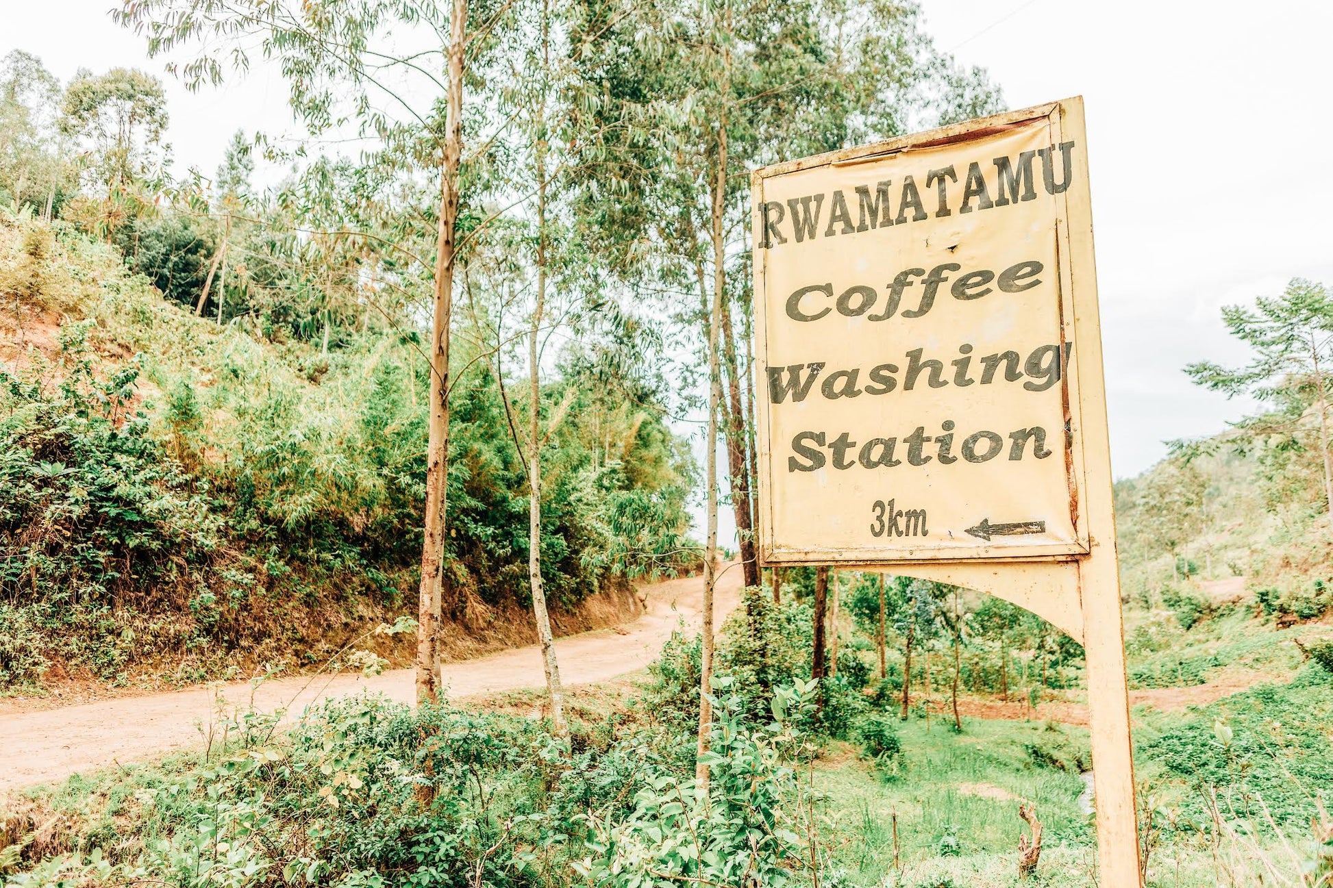 Musaza Lot 1 Processing Station Sign