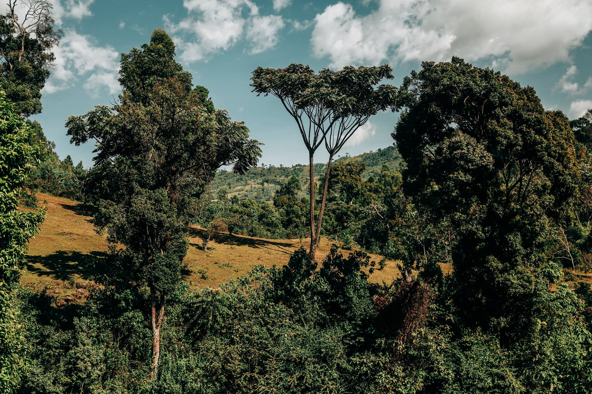 Natural Duwancho landscape
