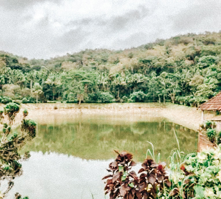 Our_man_made_tank_in_the_forefront_serves_as_a_water_source_along_with_a_natural_stream_on_the_estate.