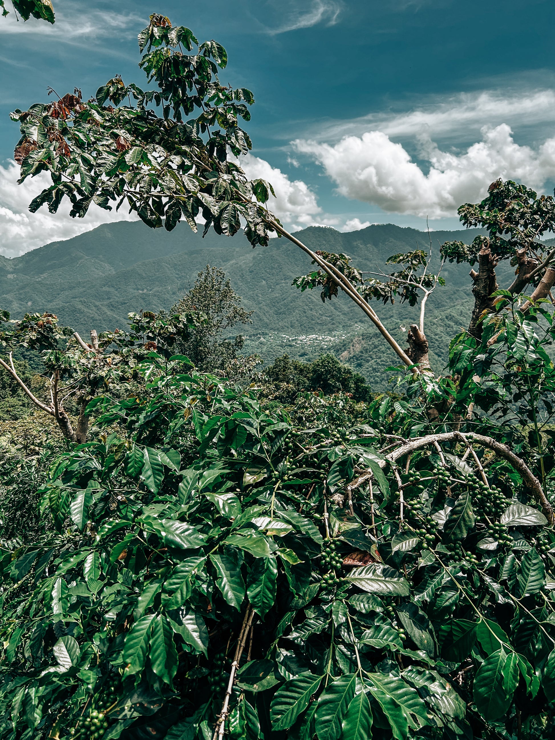 PlanLibertad_BeneficioEdelmira-scenery