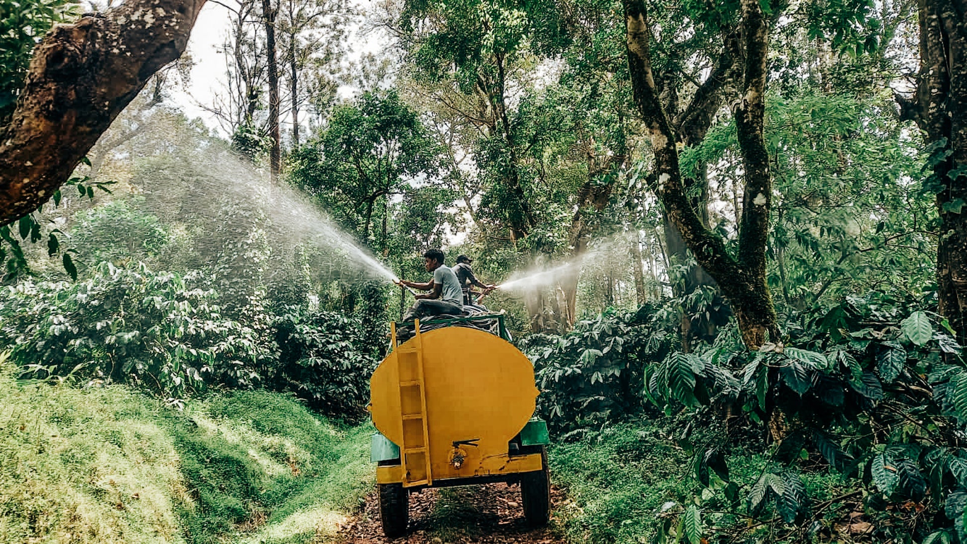 Sai Ashirwad Organic_Manure_spray