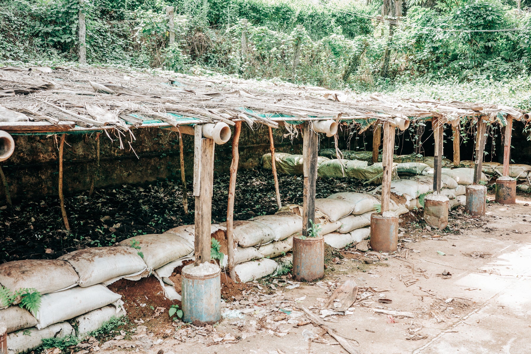 Sai Ashirwad Vermicompost_Beds