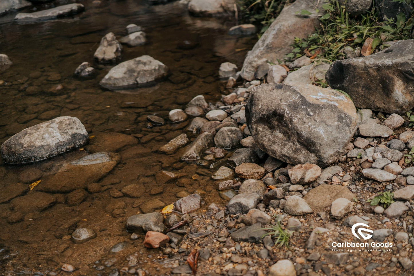Santa_Ana_and_Amatillo_nature