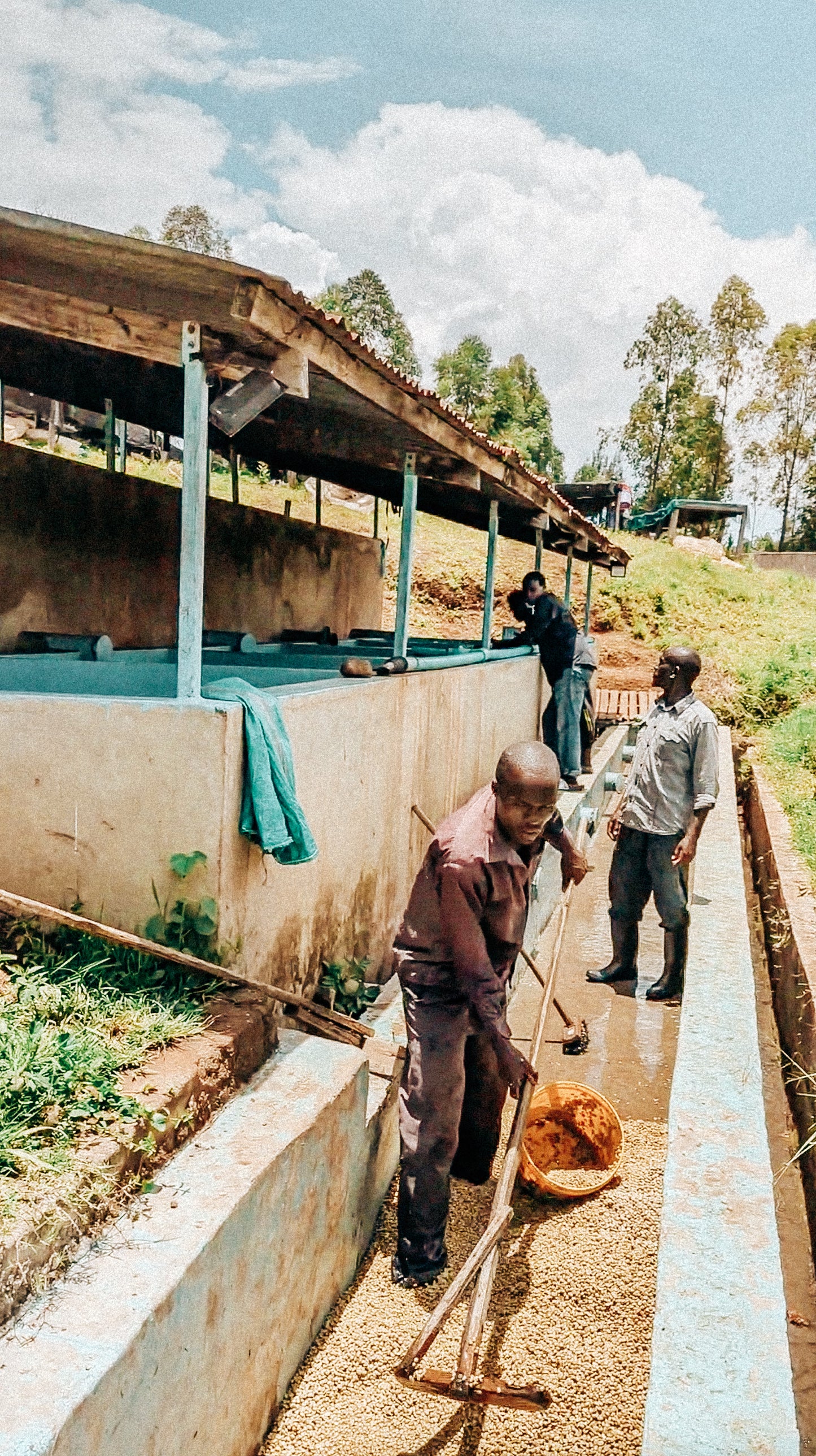 Kaplelgot Boozy Pineapple