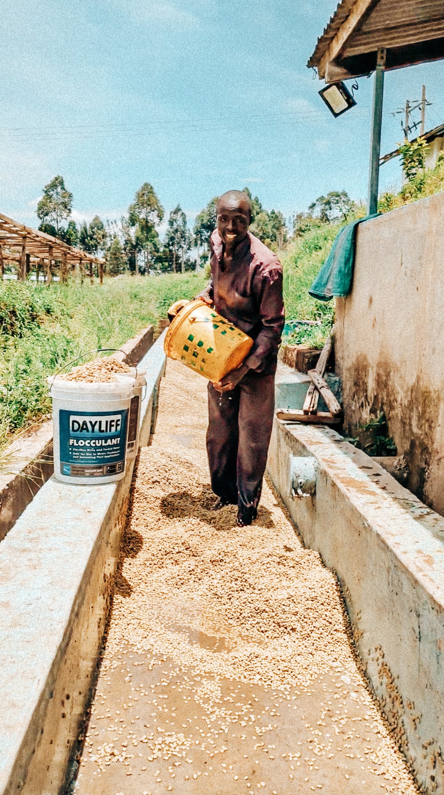Kaplelgot Boozy Pineapple