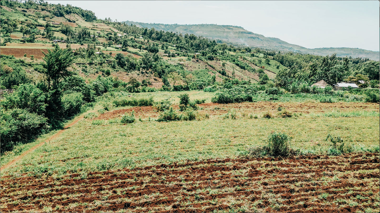 Kaplelgot Boozy Pineapple