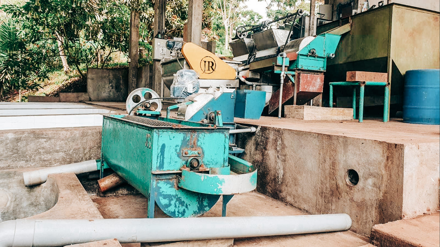 Colombian Washed Staple Subscription