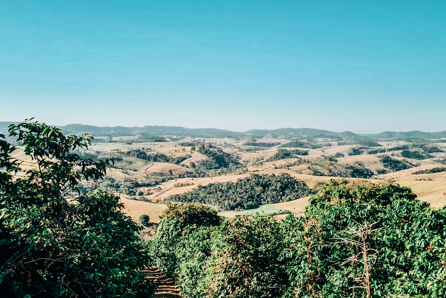 Sitio Maranhão - Experimental Brazil