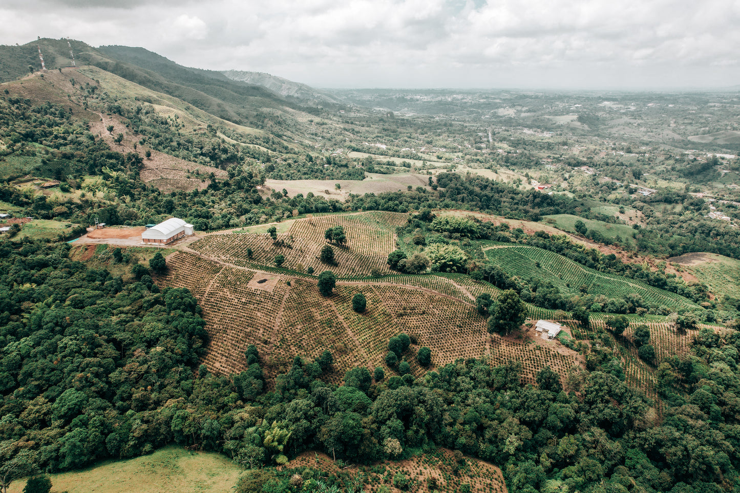 Brazil Natural Staple Subscription
