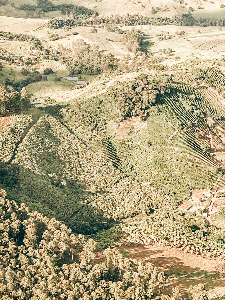 nova blend coffee farming