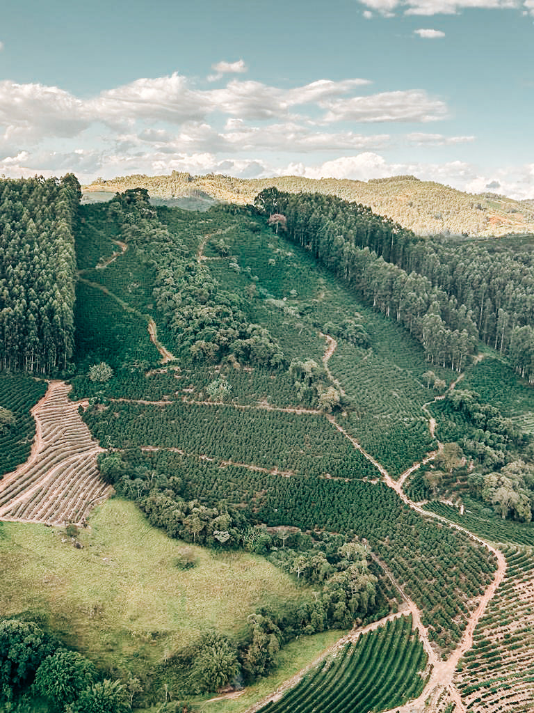 nova_blend_coffee farms