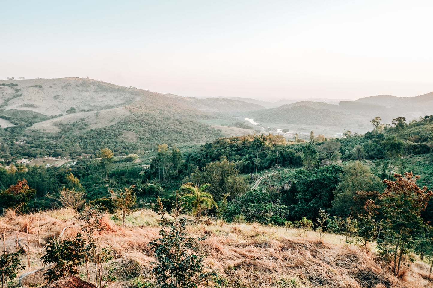 pinhal_blend_scenery