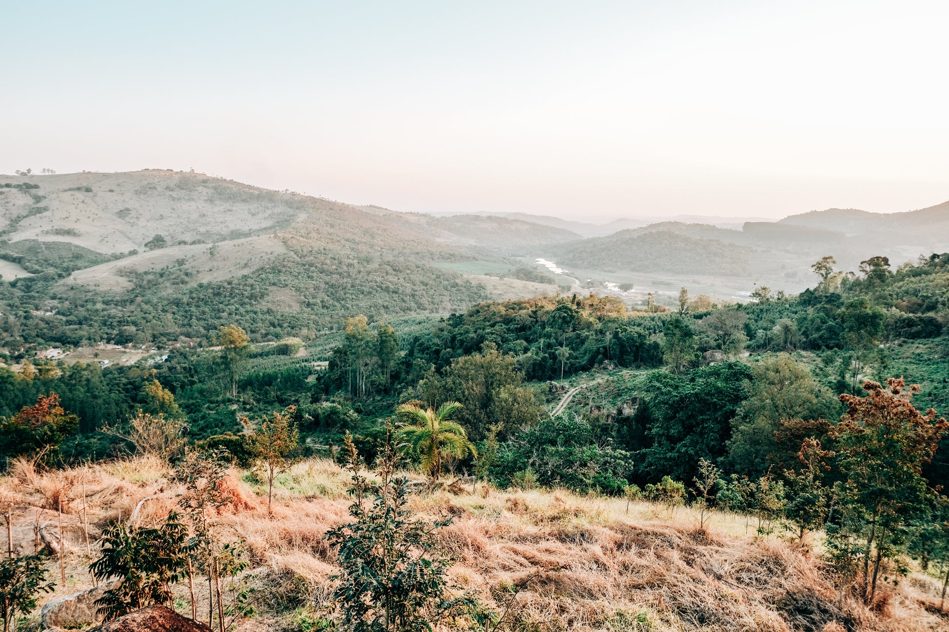 pinhal_blend_scenery