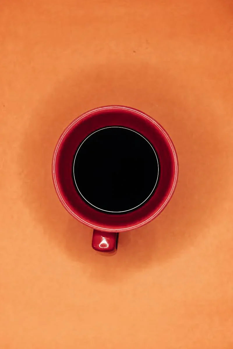 The Best Green Coffee Beans for Fruity Filter Brewing: A Buyer’s Guide