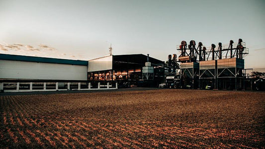 The Cold War coup that protected Brazil's coffee oligarchy