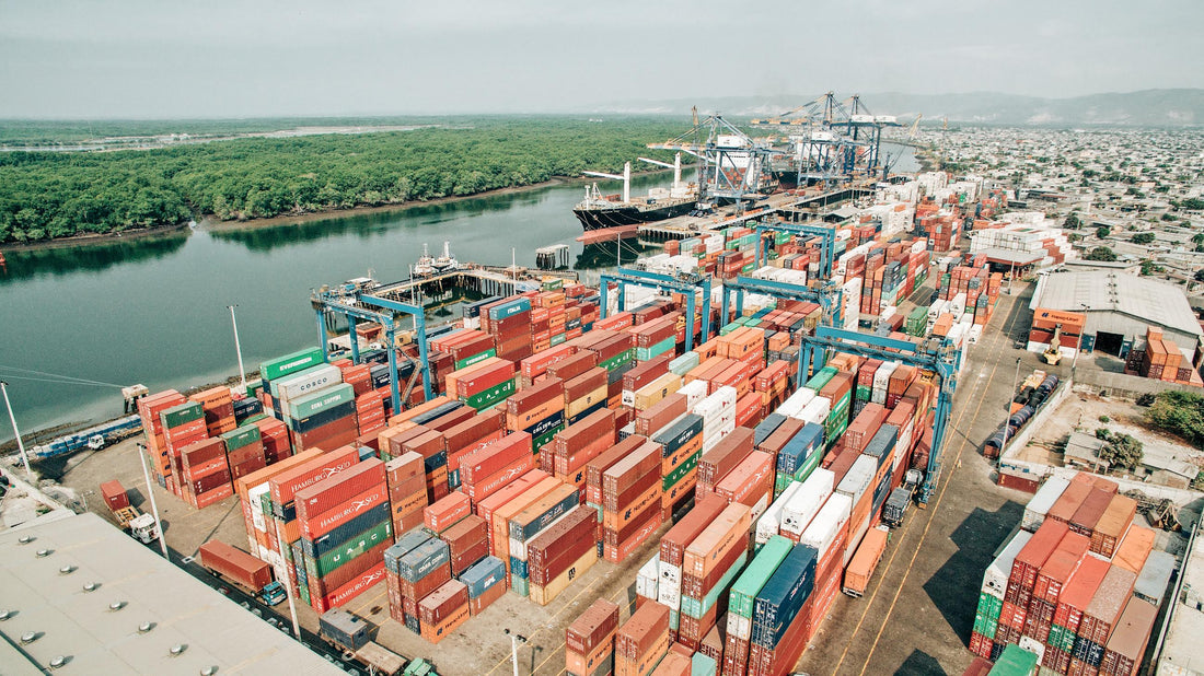Brazilian port delays: what’s behind the shipping bottleneck?